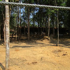 Vinpearl Safari - Zebra and Ostrich Enclosure