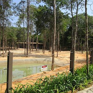 Vinpearl Safari - White Rhino Enclosure