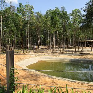 Vinpearl Safari - White Rhino Enclosure