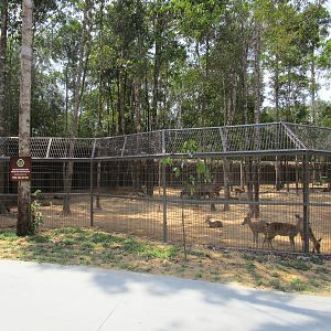 Vinpearl Safari - Greater Kudu Enclosure