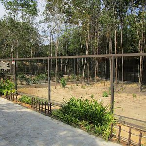 Vinpearl Safari - Striped Hyena Enclosure