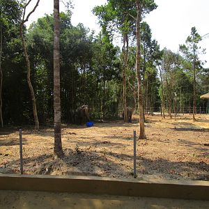 Vinpearl Safari - Elephant Enclosure