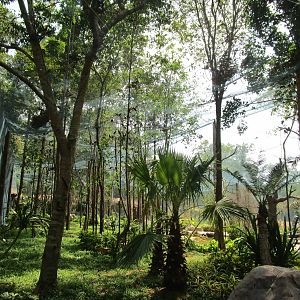 Vinpearl Safari - Walkthrough Aviary Interior