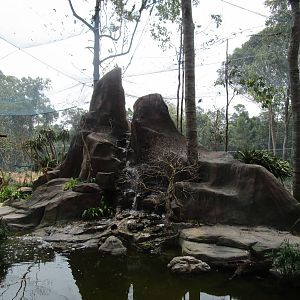 Vinpearl Safari - Walkthrough Aviary Pond