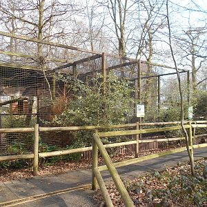 Owl aviaries - March 11th 2016