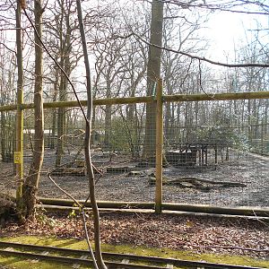 New Wolf Enclosure - March 11th 2016
