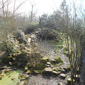 Old Wolf Enclosure - March 11th 2016