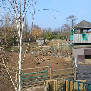 Paddocks - March 11th 2016