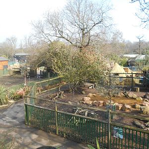 Paddocks - March 11th 2016