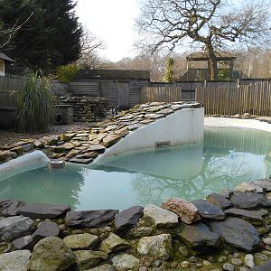 Penguins - March 11th 2016