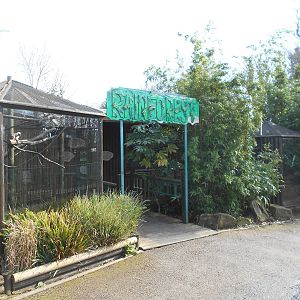 Rainforest House - March 11th 2016