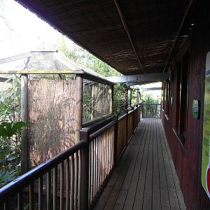 Rainforest House - March 11th 2016