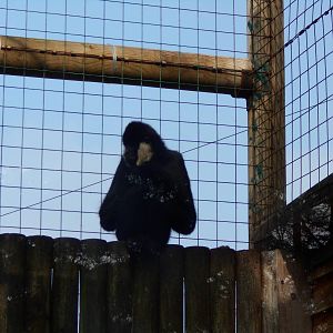 Ethan - March 11th 2016