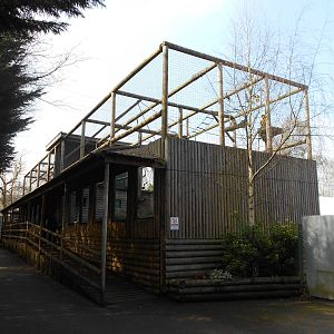 Gibbon Enclosures - March 11th 2016