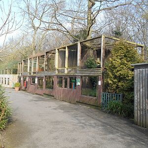 Small Carnivore Enclosures - March 11th 2016