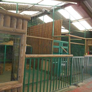 Inside dens for Jaguars - March 11th 2016