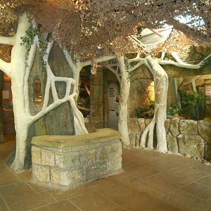 Reptile House interior - March 11th 2016