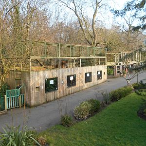 Empty enclosure - March 11th 2016