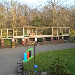 Small Carnivore enclosures - March 11th 2016