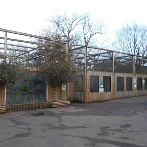 Lemur enclosures - March 11th 2016