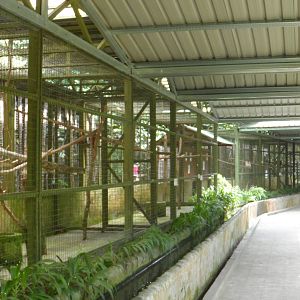 Row of Aviaries