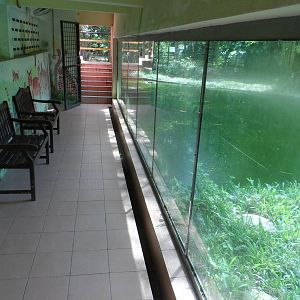 Malayan Tiger Exhibit