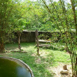 Malayan Tiger Exhibit