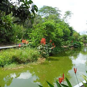 Otter and Gibbon Exhibit