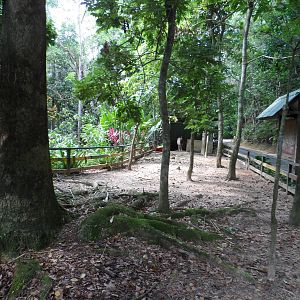 Miniature Pony Exhibit