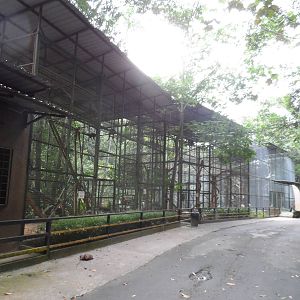 Binturong and Proboscis Monkey Exhibits