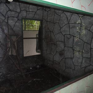 Pangolin and Porcupine Exhibit