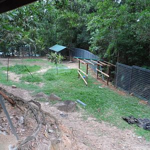 Future Nilgai Exhibit