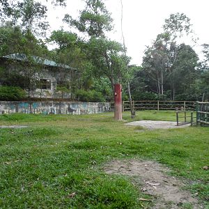 Former Elephant Showground.