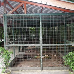 Rabbit Exhibit