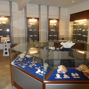 UMS Aquarium and Marine Museum