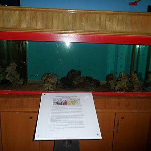 UMS Aquarium and Marine Museum