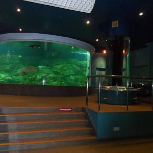UMS Aquarium and Marine Museum