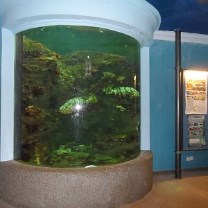 UMS Aquarium and Marine Museum