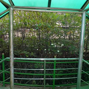 UMS Aquarium and Marine Museum