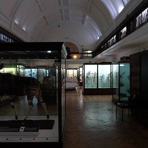 Natural History Collections