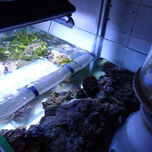 Behind-the-Scenes (Project Coral)