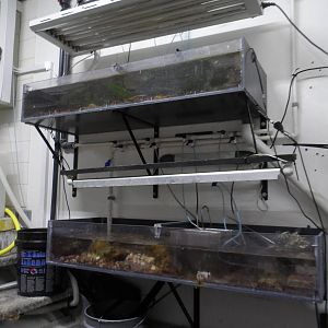 Behind-the-Scenes (Project Coral)