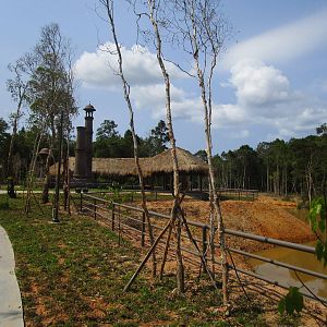 Vinpearl Safari - Elephant Viewing Shaded Area