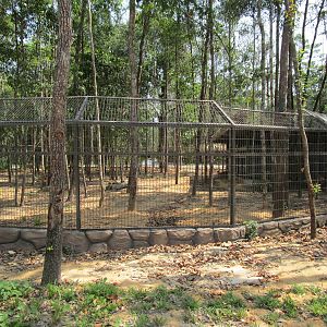 Vinpearl Safari - Second Klipspringer Enclosure