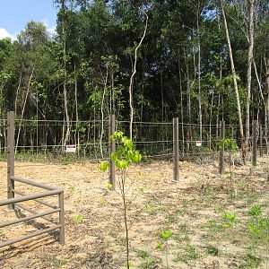 Vinpearl Safari - Elephant Enclosure Fencing