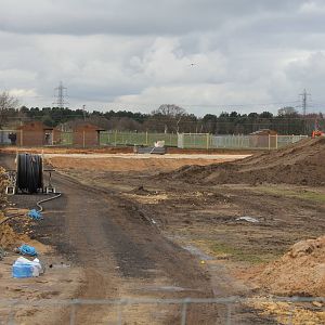 African plains hard standing 6-3-16