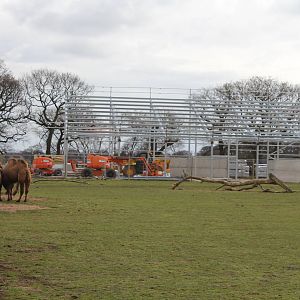View of rhino house 6-3-16