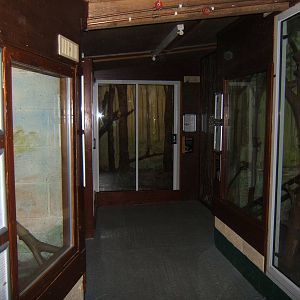 View of Snake room