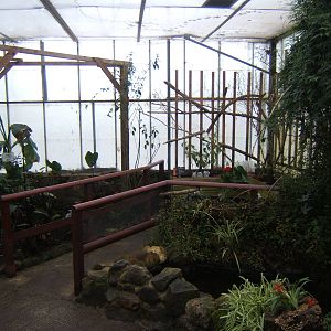 View inside Butterfly House