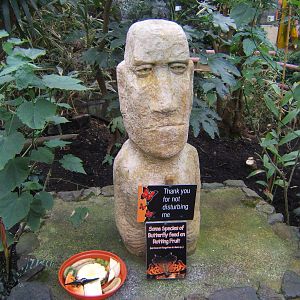 View inside Butterfly House